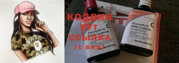 spice Ельня