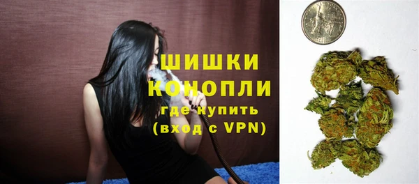 spice Ельня