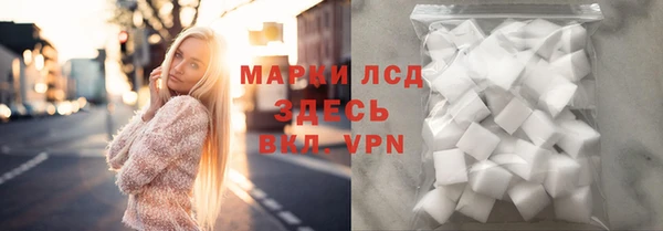 spice Ельня