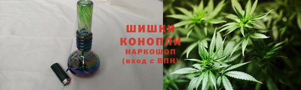 spice Ельня