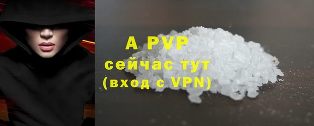 spice Ельня