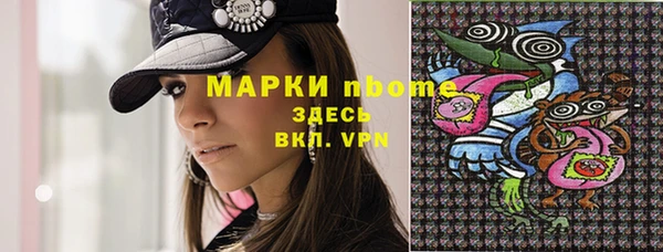 spice Ельня