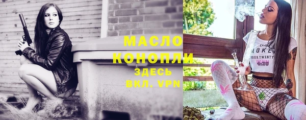 spice Ельня