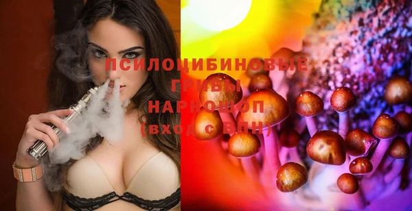 spice Ельня