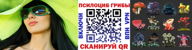 Галлюциногенные грибы Psilocybine cubensis  Купить закладки  Мирный 